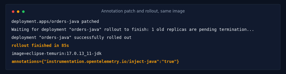 Annotation patch and rollout, same image