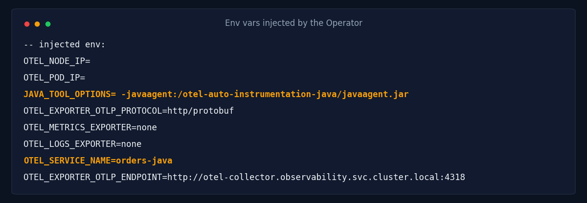 Env vars injected by the Operator